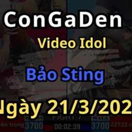đá gà bảo stinh