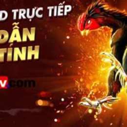 đá gà bình luận viên ngày hôm nay