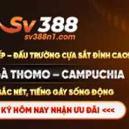 đa ga bj388