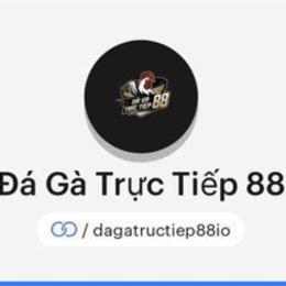 đá gà bồ 88 hôm nay