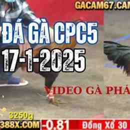 da ga c1 28 10