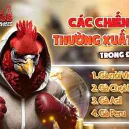 đá gà c2 23/10
