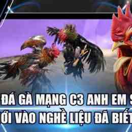 da ga c3 tran 16