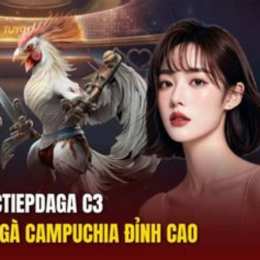 đá gà c3 trận 20
