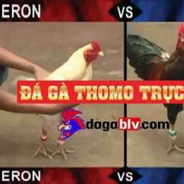 da ga c3 tran 44