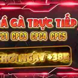 đá gà c3 trực tiếp c3