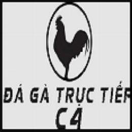 đá gà c4 ngày 21/12/2023