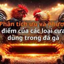 đá gà các loại