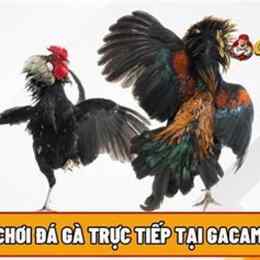 da ga cam.67
