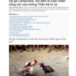 đá gà campuchia trang bình luận