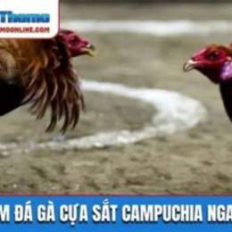 da ga campuchia truc tiep 2017