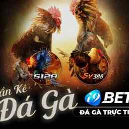 đá gà casino online