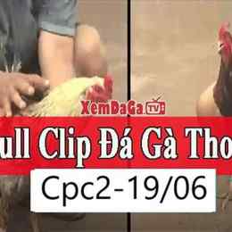 đá gà ccp3