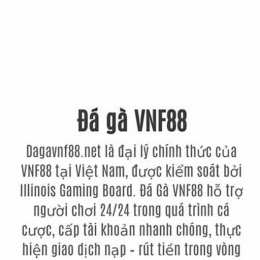 đá gà chấm vn