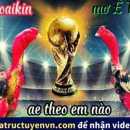 đá gà chọi bịp roykin và mơ ê tô