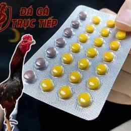 da gà có hại không