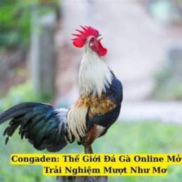 da ga congaden com