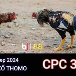 đá gà cpc3 30 3