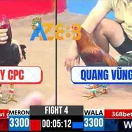 đá gà cpc3 trận 54