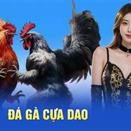 da ga cua dao al1