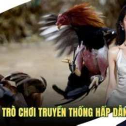 da ga cua sat hap dan