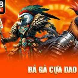 da ga cuc hay