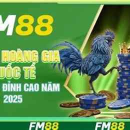 đá gà giải 27/5