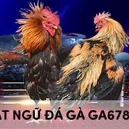 da ga giai duyen ty