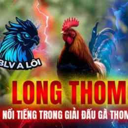 đá gà giai thomo