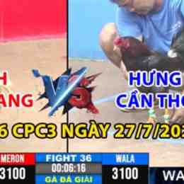 đá gà hưng cần thơ mới nhất