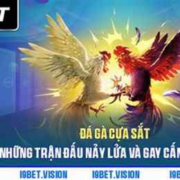đá gà i9bet