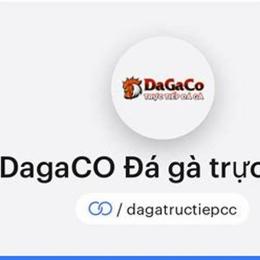 đá gà karaoke