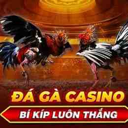đá gà live casino 67