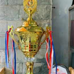 đá gà mạng cúp c1
