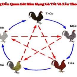 đá gà mạng trang 88