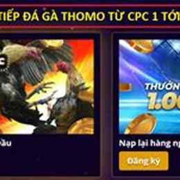 đá gà mcw7733