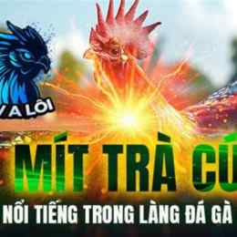 da ga mit tra cuu