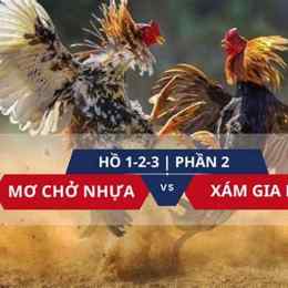 đá gà mơ chở nhựa