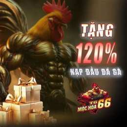đá gà mộc hóa c1