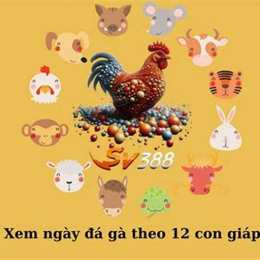 đá gà ngày 12/12