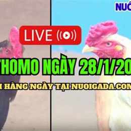 da ga ngay 27 5 c3