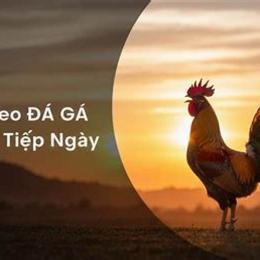 da ga ngay 29 6