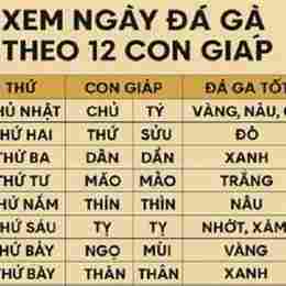 da ga ngay 6/10
