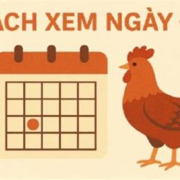da ga ngay 8 5 2023