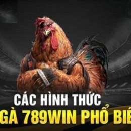 đa ga phi