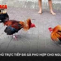 da ga phu phu