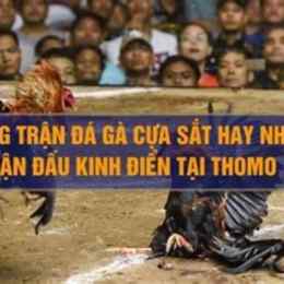 đá gà siêu kinh điển