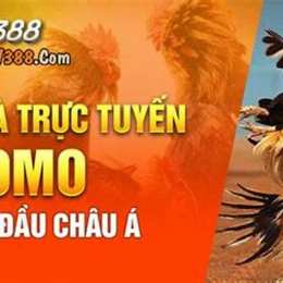 đá gà sv388 dagasv388sv