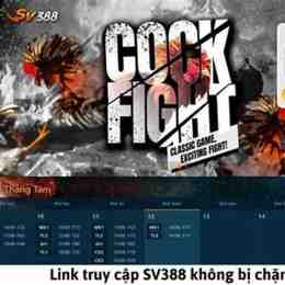 đá gà sv388 tại daga88.live