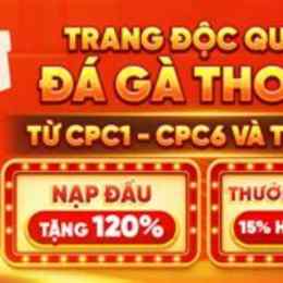 đá gà thômc3